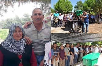 Tarifsiz acı