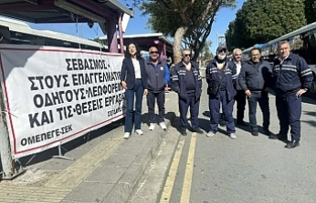 Renk değişimi sakat