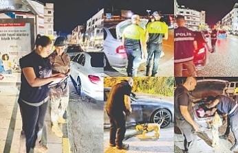 6 kişi tutuklandı