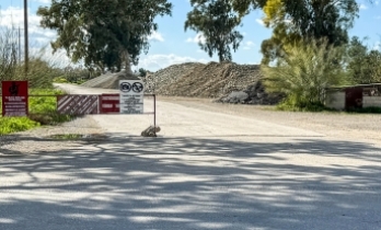 Ne önerdiysek kabul etmedi