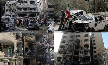 Can kayıpları artıyor