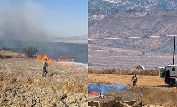 Kuru otları temizleyin
