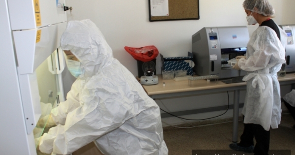 PCR testi ücreti 300 TL