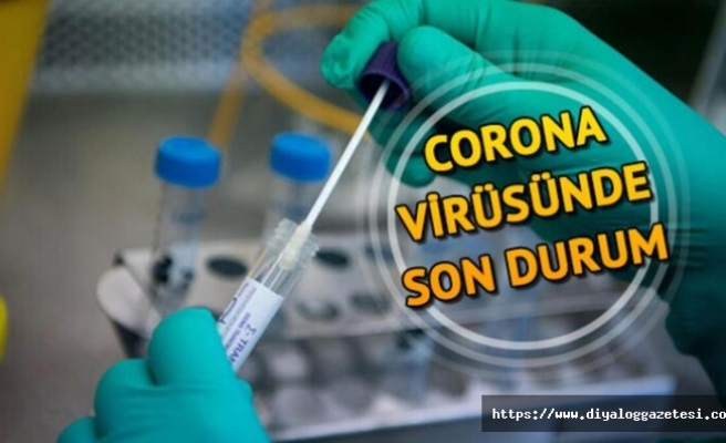 Kuzeyde 4 yeni vaka