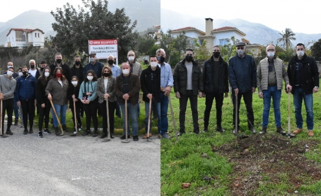 Belediye ekipleri ve Başkan Güngördü, Bellapais’te fidan dikti