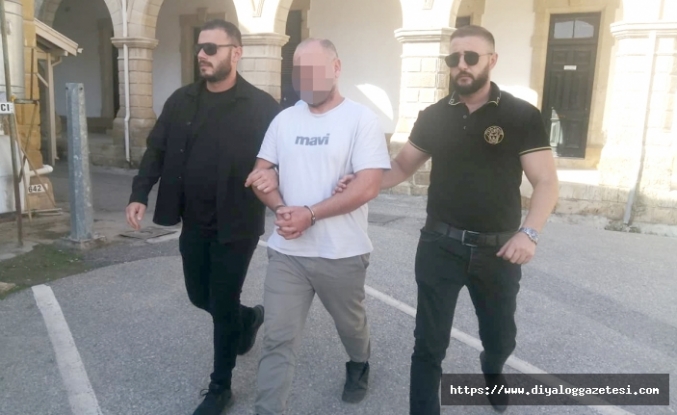 19 silah ülkeye nasıl girdi?