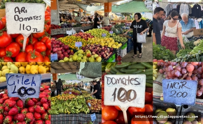 Alan da satan da şikayetçi