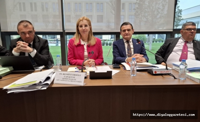 Çoğunluğu yabancı