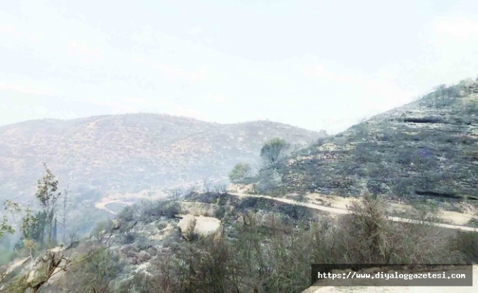 Kontrol altına alındı