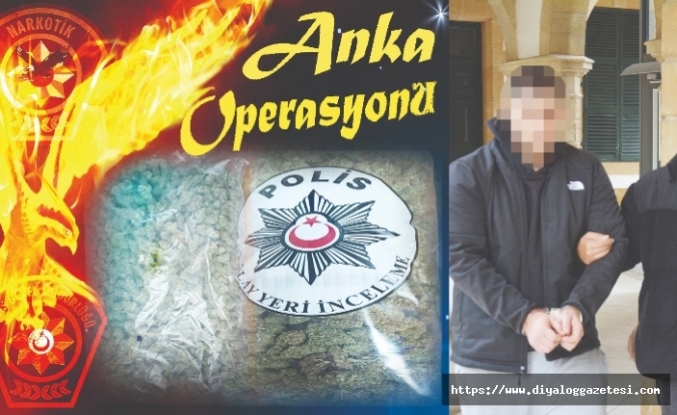 ‘Anka’ Operasyonu