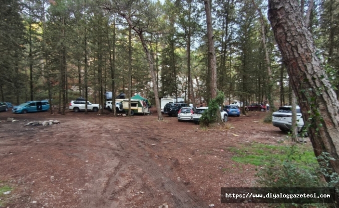 Patika: Ormanlar nefes alanlarımızdır, gelir kapısı değil