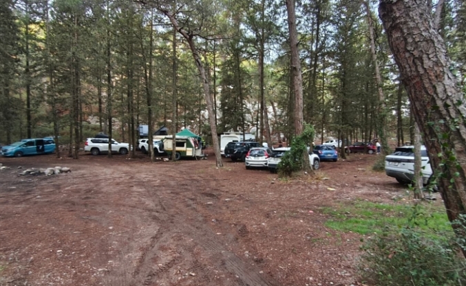 Patika’dan Orman Dairesi’ne “ücret” tepkisi