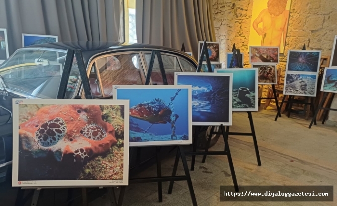 Sualtı dünyasını yansıtıyor