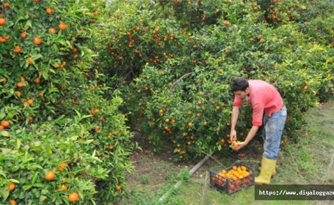 Yeni tarife açıklandı