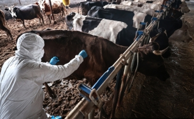 İkinci tur aşılama yapılıyor