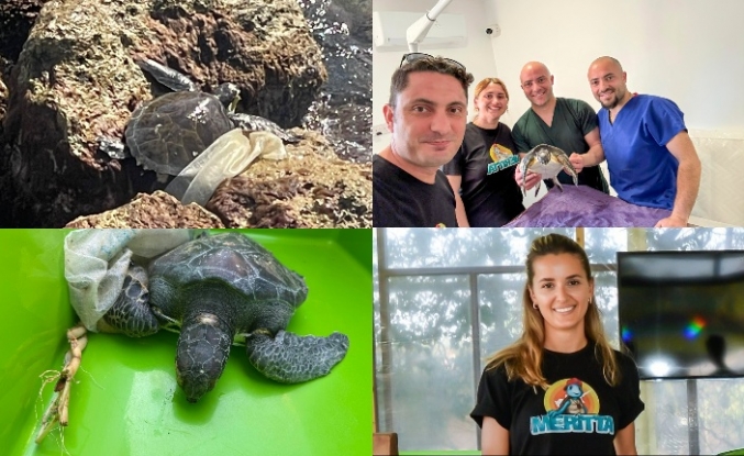 Meritta’da hayata tutundu