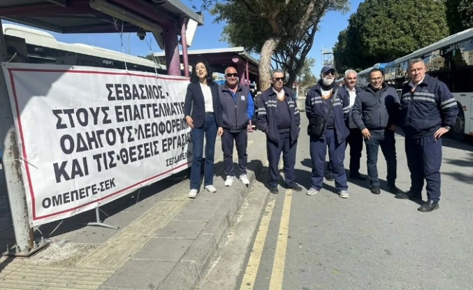 Renk değişimi sakat