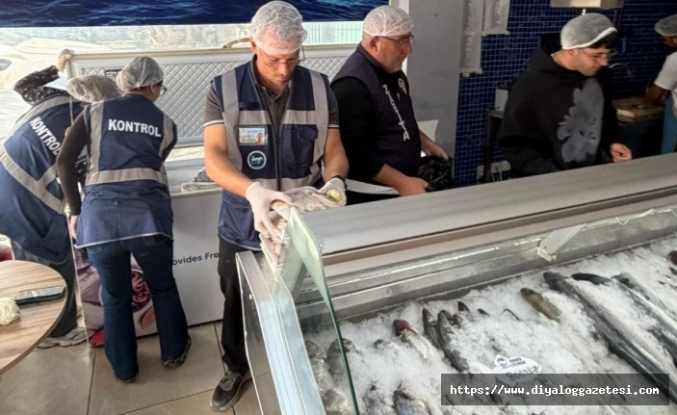 Balıklar imha edildi