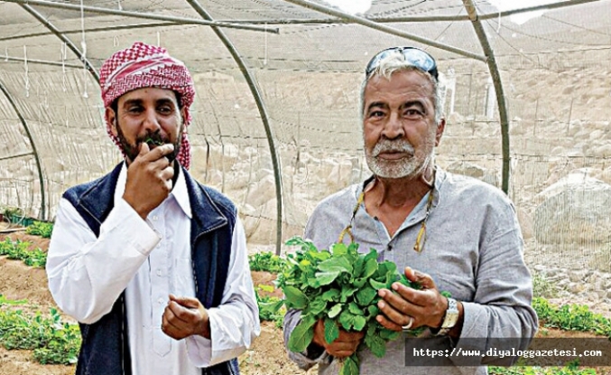 Üretimde maliyetler düşecek