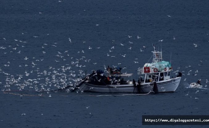 ‘Yok hükmünde’