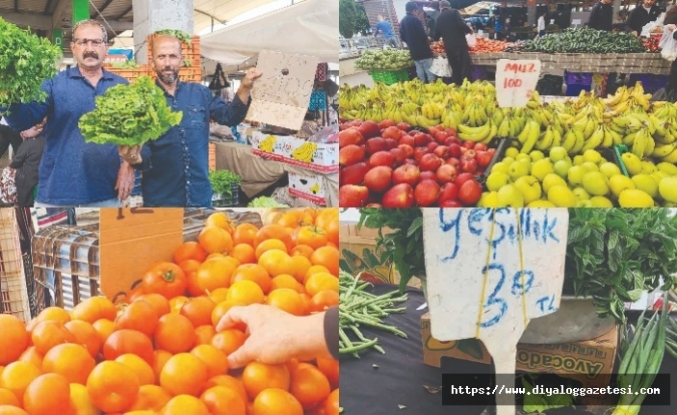 Yetişen aldı