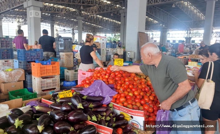 Rumlar da aldı