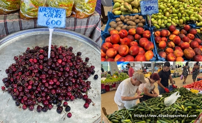 Güneyden pahalı