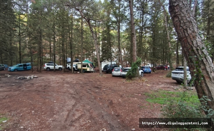 Patika: Ormanlar nefes alanlarımızdır, gelir kapısı değil