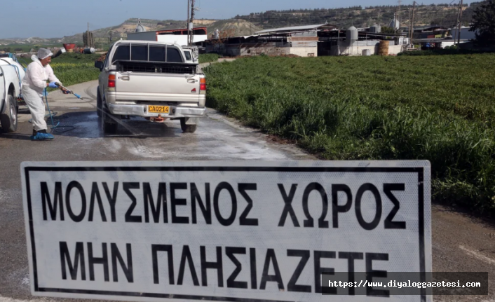 Binlerce hayvan aşılandı