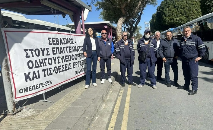 Renk değişimi sakat