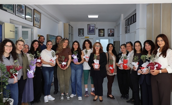 Zeytin ağacı dağıtıyor