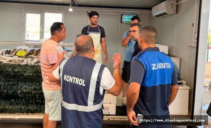 Hamsilere el konuldu
