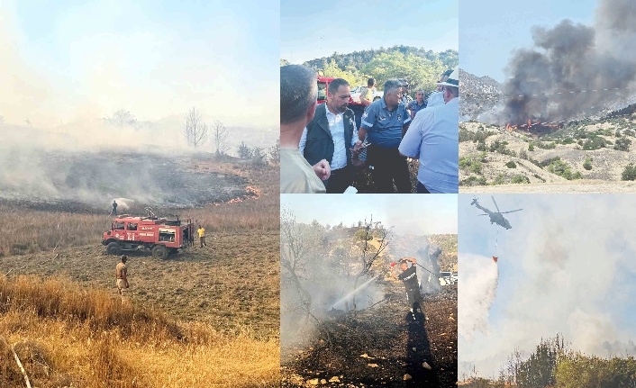 Büyümeden söndürüldü