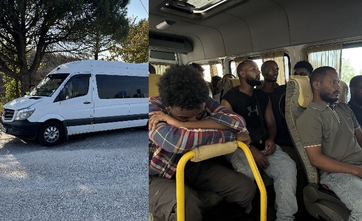 Sürücü tutuklandı