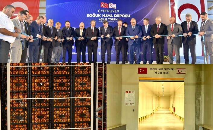 İş yapmak lazım