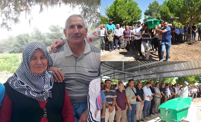 Tarifsiz acı