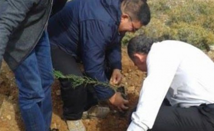Berova: Ağaç sevgi ile büyür