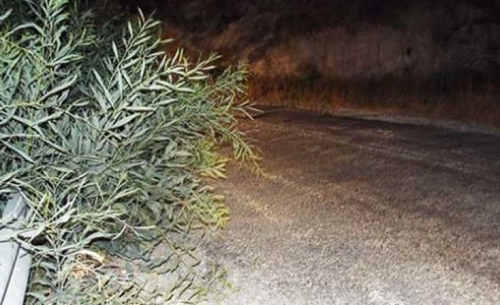 Sadrazamköy yolu tehlike saçıyor