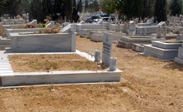 Yeşillik isteniyor