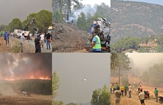 38 ilde toplam 163 orman yangını çıktı